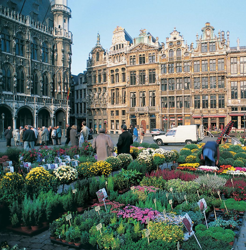 Brussels web design services