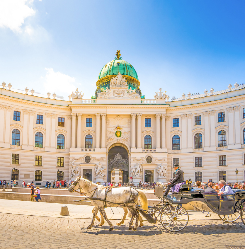 Wien web design services